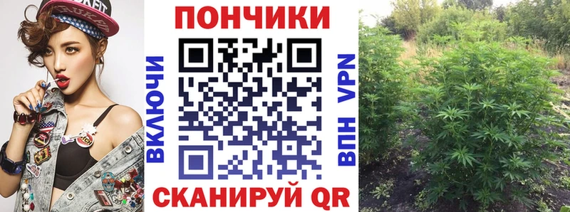 Каннабис Вязники