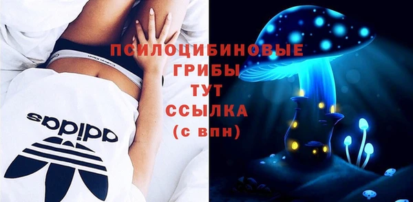 PSILOCYBIN Богданович