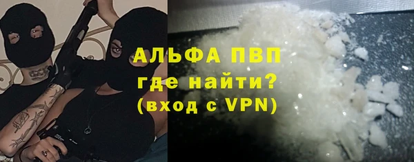 стаф Богородск