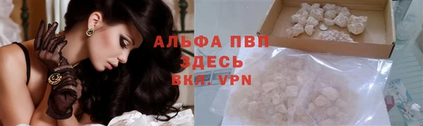 PSILOCYBIN Богданович