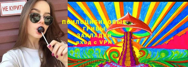 PSILOCYBIN Богданович
