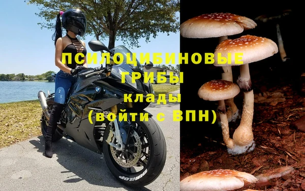 PSILOCYBIN Богданович