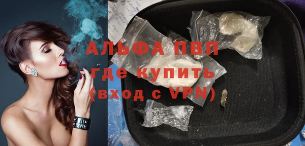 PSILOCYBIN Богданович