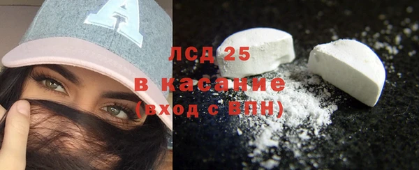 PSILOCYBIN Богданович