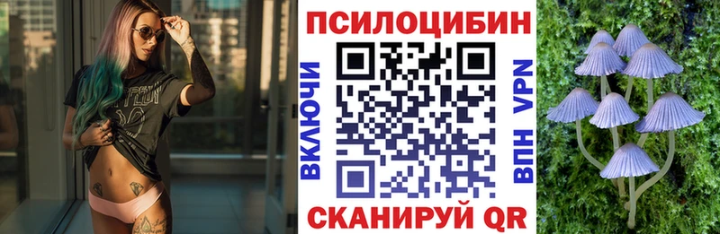 MEGA онион  Вязники  Галлюциногенные грибы Psilocybe  купить наркотик 