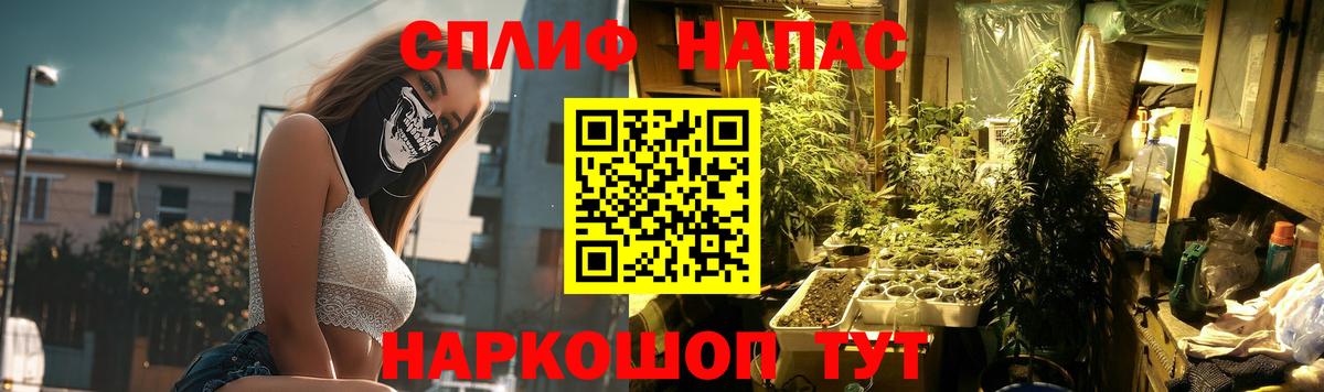 Марихуана White Widow  Бошки Шишки Amnesia  Вязники  МАРИХУАНА план  Вход с VPN 